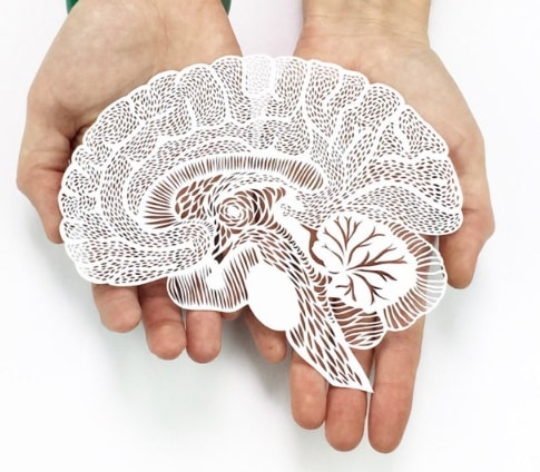 libération émotionnelle